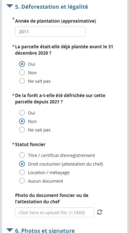 Écran déforestation